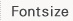 Fontsize